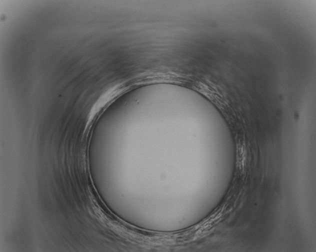 X0000066520004200603311806