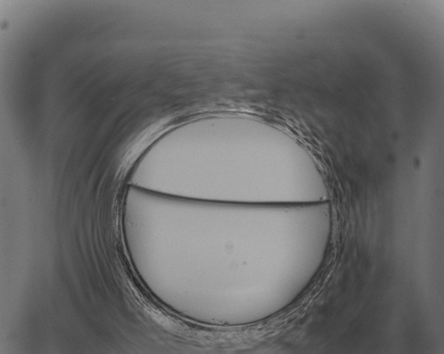 X0000066520005200603311806