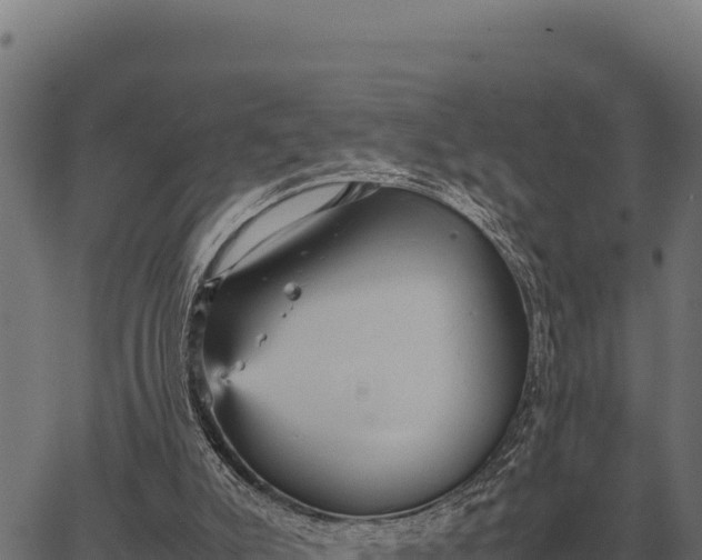 X0000066520007200603311806