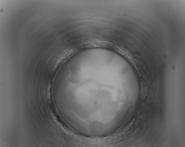 X0000066520010200603311806