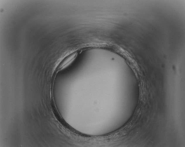 X0000066520011200603311806