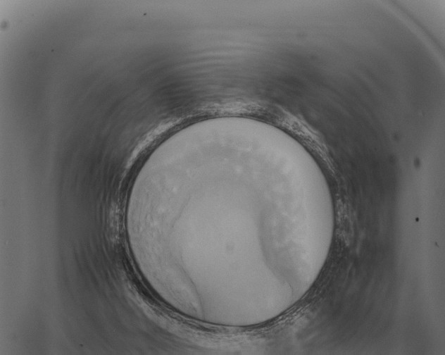 X0000066520012200603311806