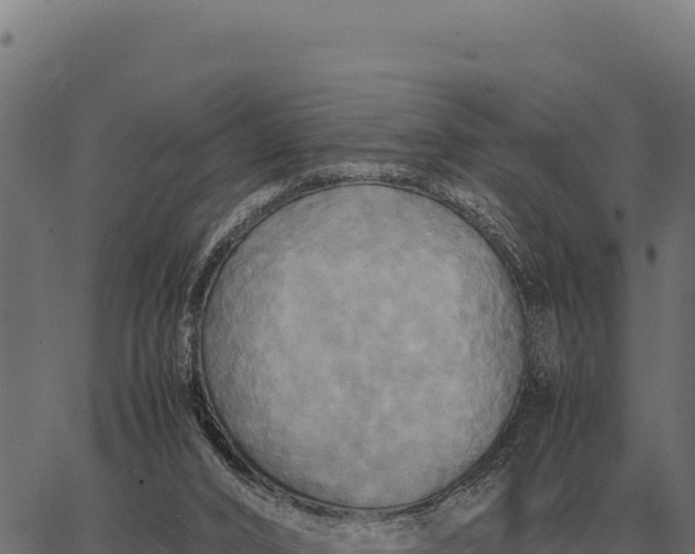 X0000066520016200603311806