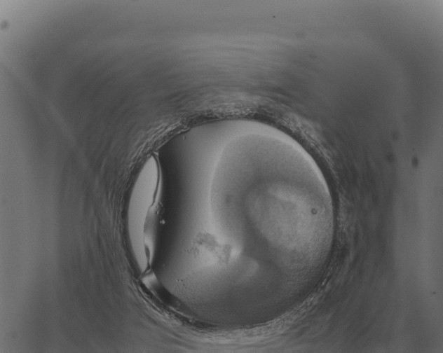 X0000066520017200603311806