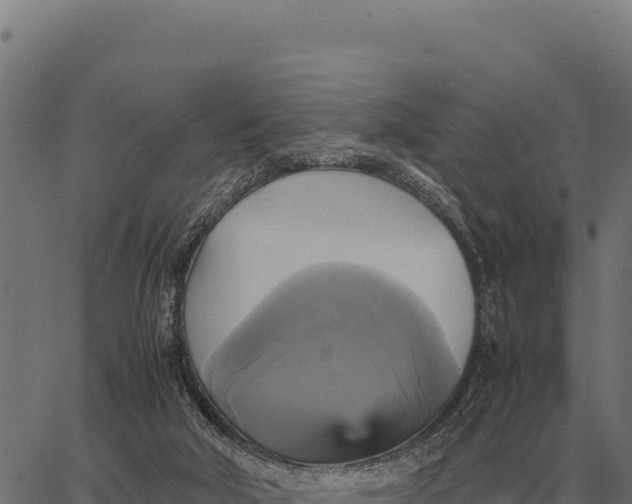 X0000066520018200603311805