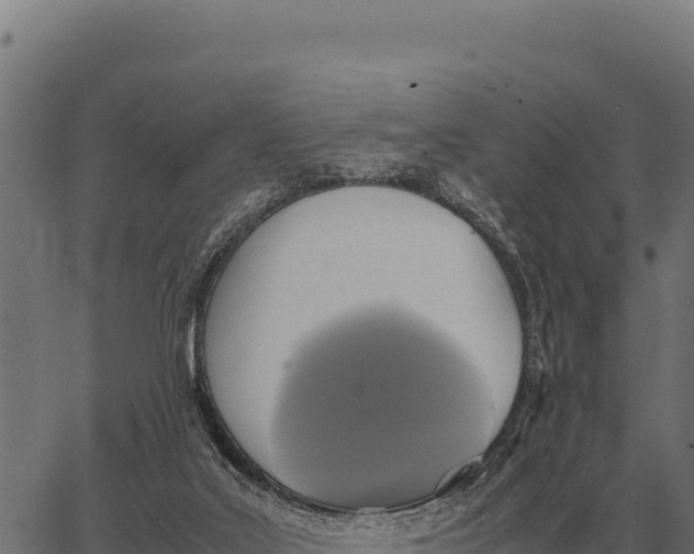 X0000066520019200603311805