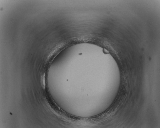 X0000066520020200603311805