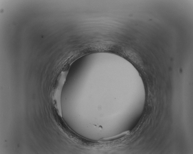 X0000066520021200603311805