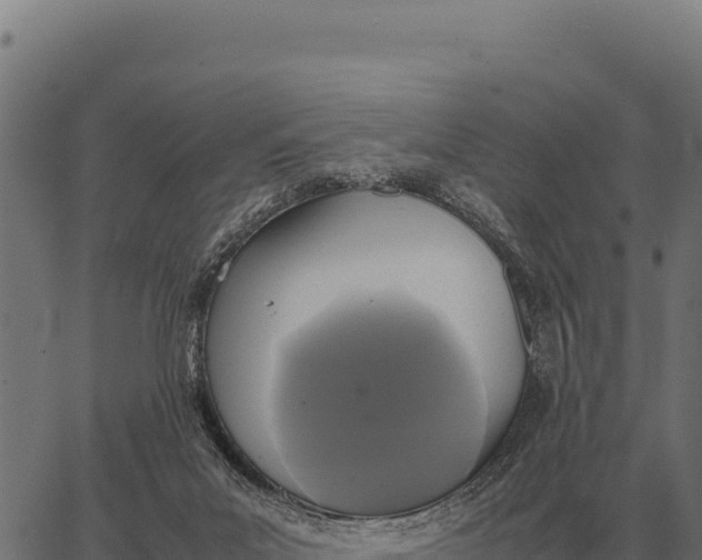 X0000066520023200603311805