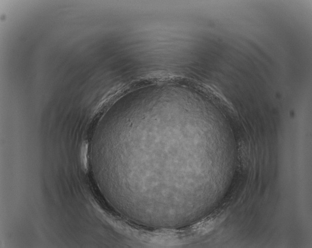 X0000066520024200603311805