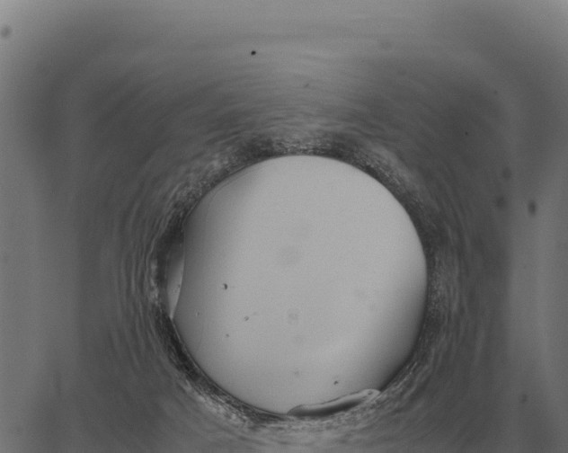 X0000066520025200603311805