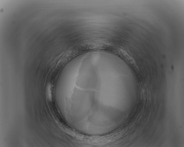 X0000066520026200603311805