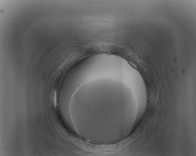 X0000066520027200603311805