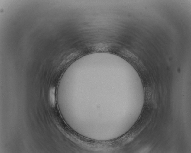 X0000066520028200603311805