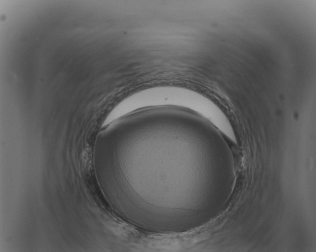 X0000066520029200603311805