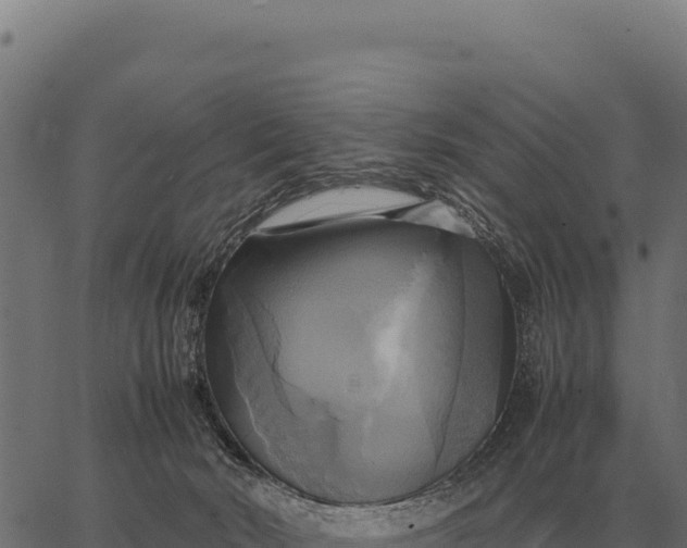 X0000066520030200603311805