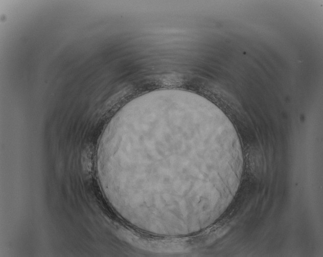 X0000066520032200603311805