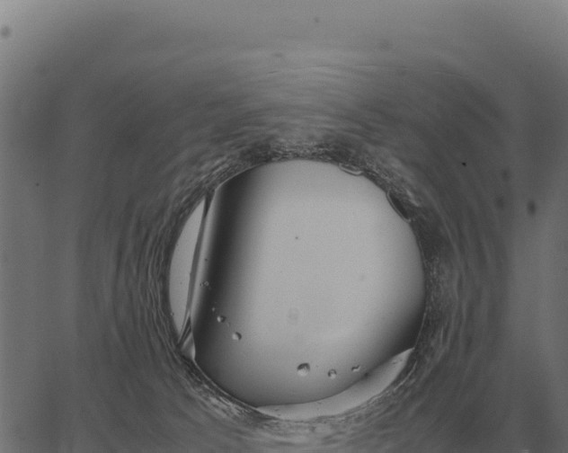 X0000066520033200603311805