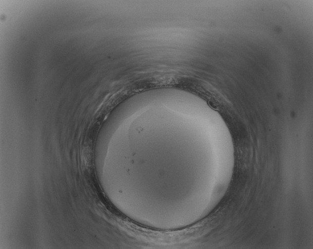 X0000066520035200603311805