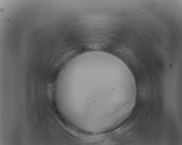 X0000066520036200603311805