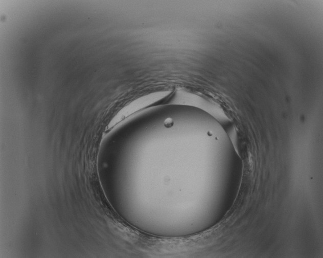 X0000066520037200603311805