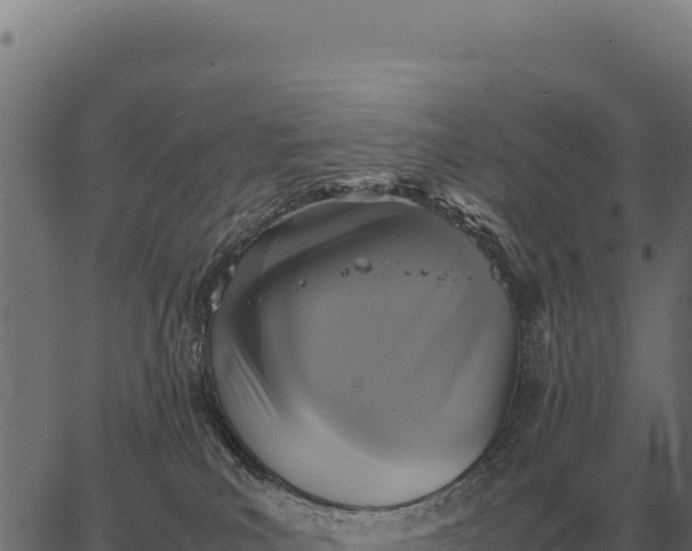 X0000066520039200603311805