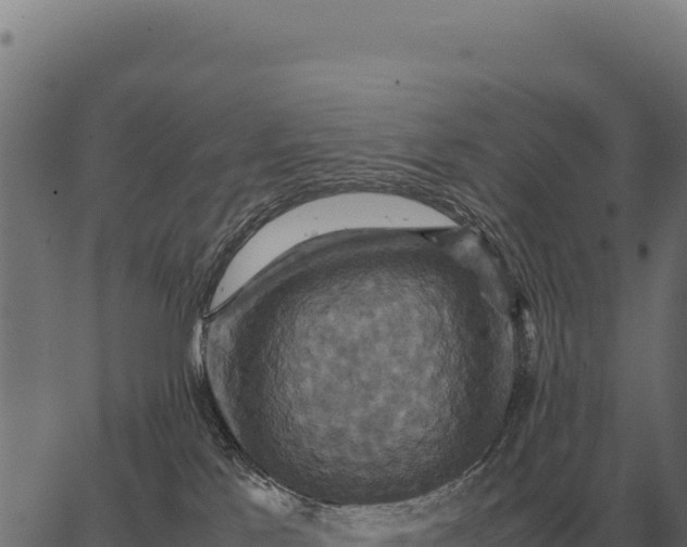 X0000066520041200603311805