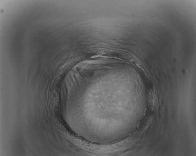 X0000066520043200603311805