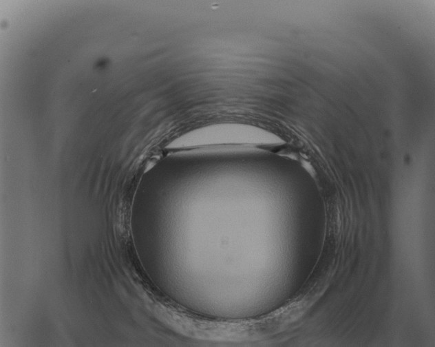 X0000066520044200603311805