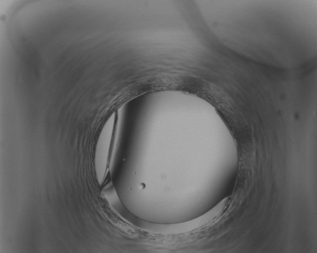 X0000066520045200603311805