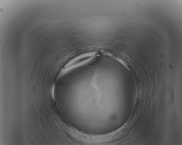 X0000066520047200603311805