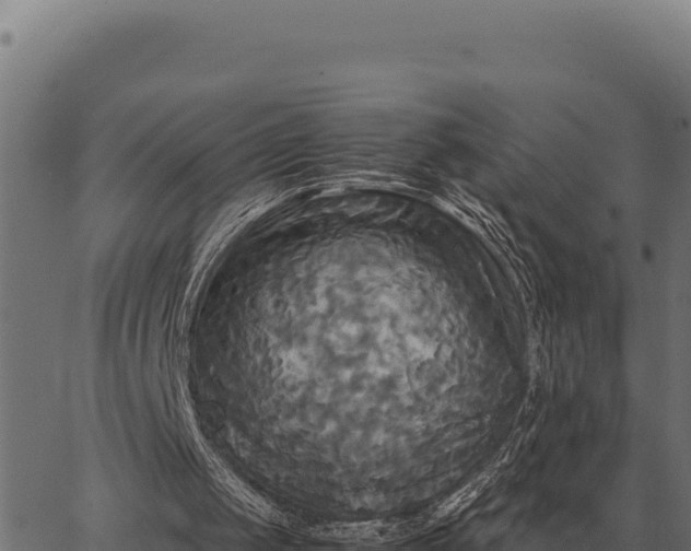 X0000066520049200603311804