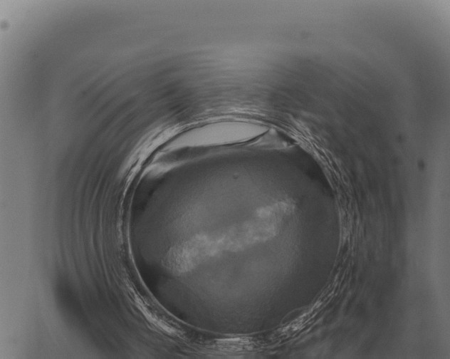 X0000066520050200603311804