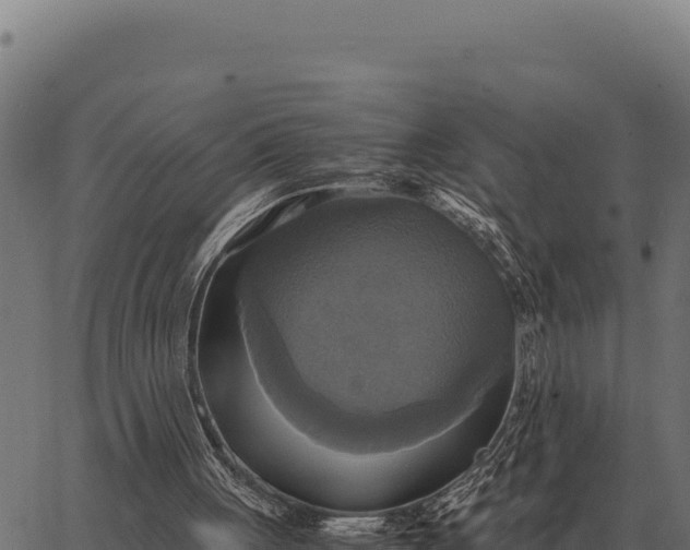 X0000066520051200603311804