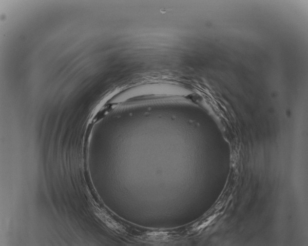 X0000066520052200603311804