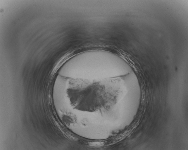 X0000066520053200603311804