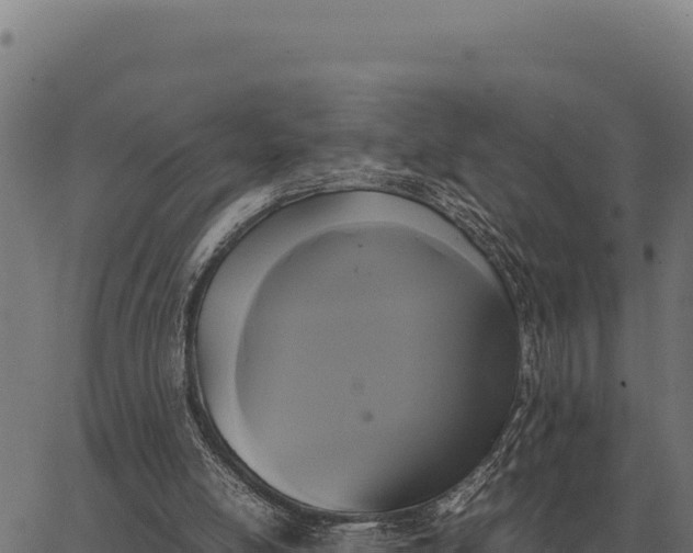 X0000066520054200603311804