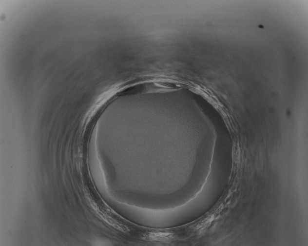 X0000066520055200603311804