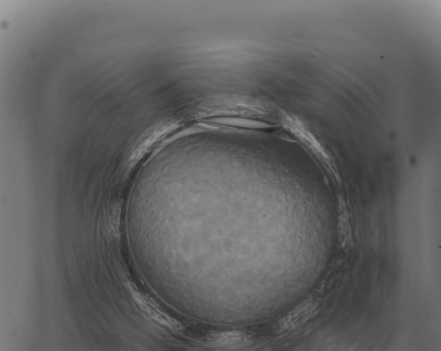 X0000066520058200603311804