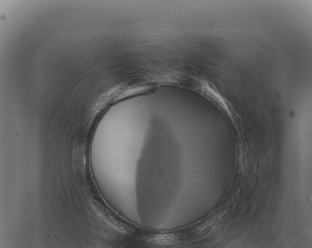 X0000066520059200603311804