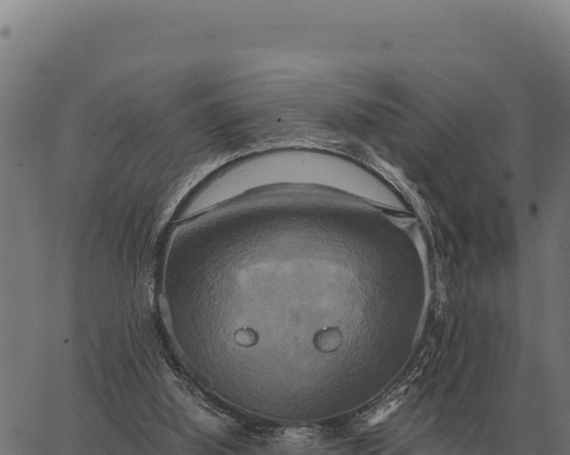 X0000066520060200603311804