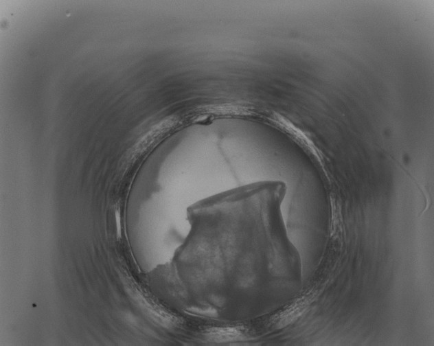 X0000066520061200603311804