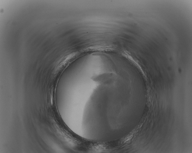 X0000066520062200603311804