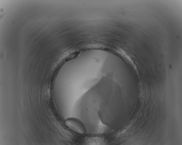 X0000066520063200603311804