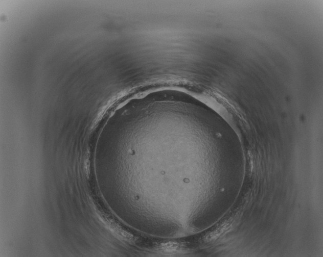 X0000066520064200603311804