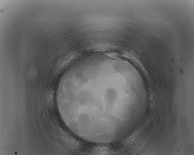 X0000066520066200603311805