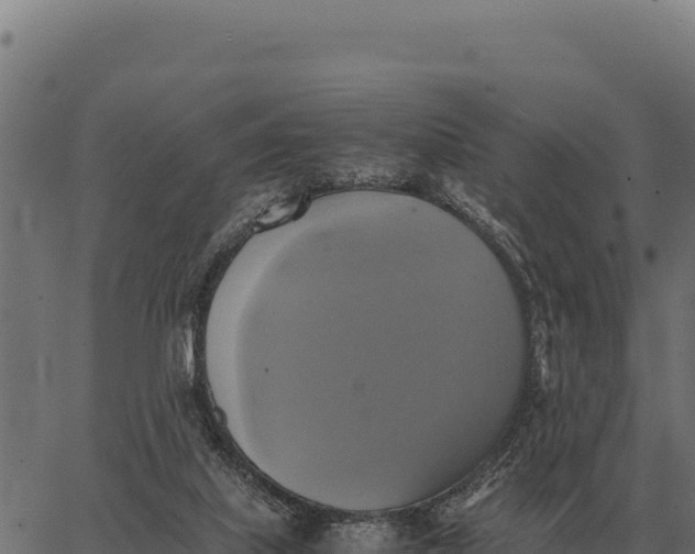 X0000066520067200603311805