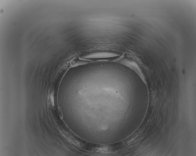 X0000066520068200603311805