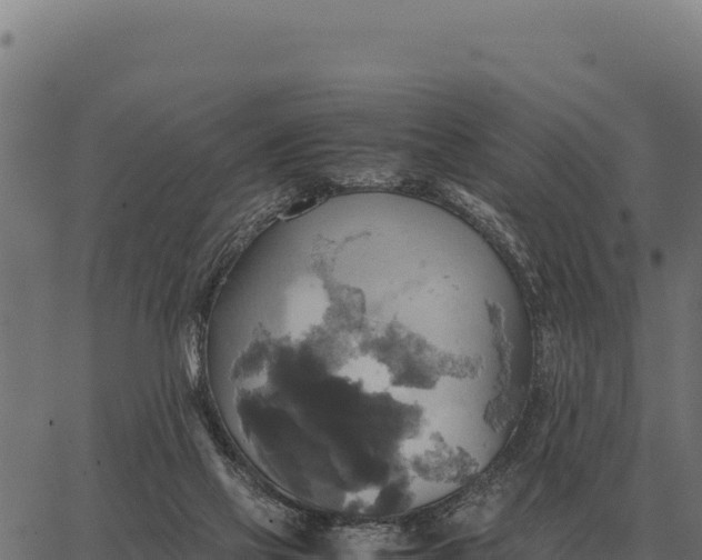 X0000066520069200603311805