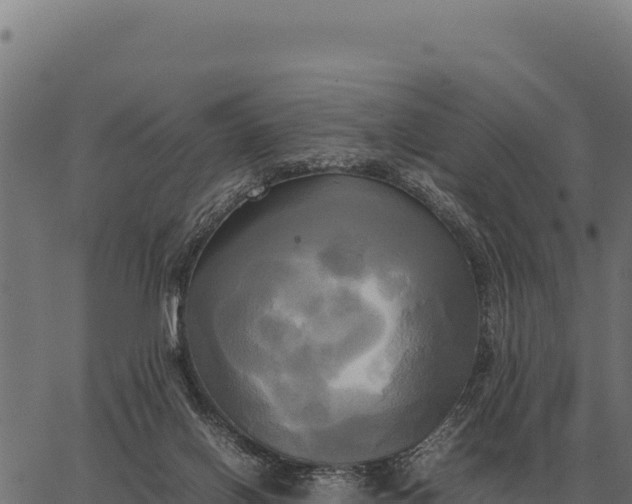 X0000066520070200603311805